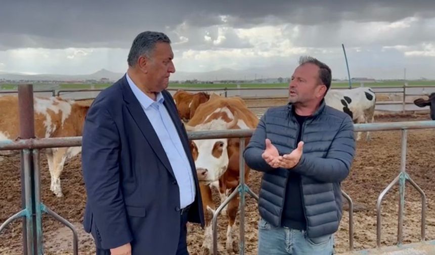 Gürer: “Çiğ süt krize doğru koşuyor”