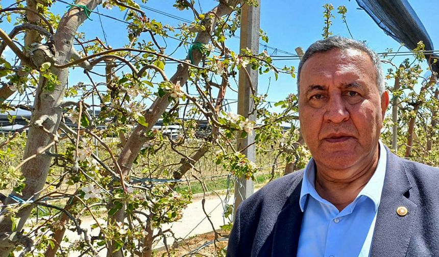 CHP Niğde Milletvekili Ömer Fethi Gürer: “Zirai don ile sosyal çöküş yaşanmaması için önlemler acil alınmalıdır.”