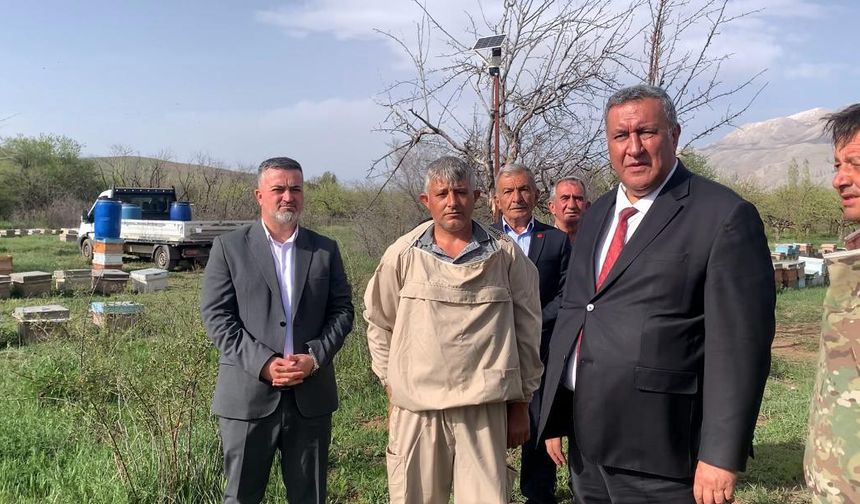 BALIN DA TADI KAÇTI!