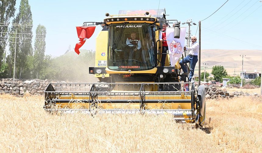 🌾 Nevşehir’de Buğday Hasadı Tüm Hızıyla Devam Ediyor! 🚜