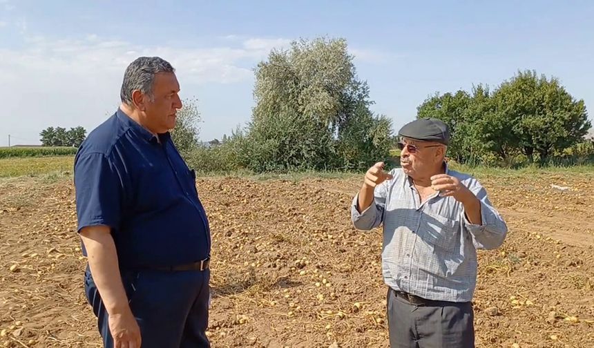 PATATES TARLASINDA KRİZ DERİNLEŞİYOR
