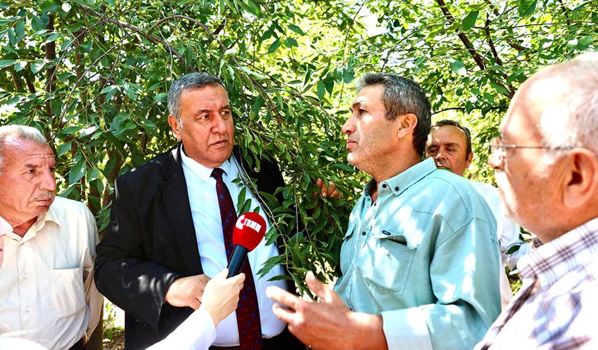 Gürer: “Dalda ürünü don vurması raf fiyatlarını uçurdu”