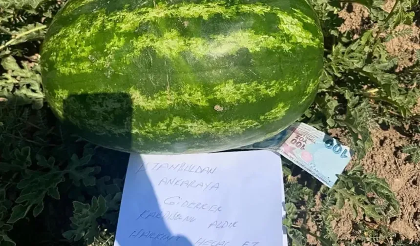 "Küçük Bir Karpuz, Büyük Bir Vicdan"