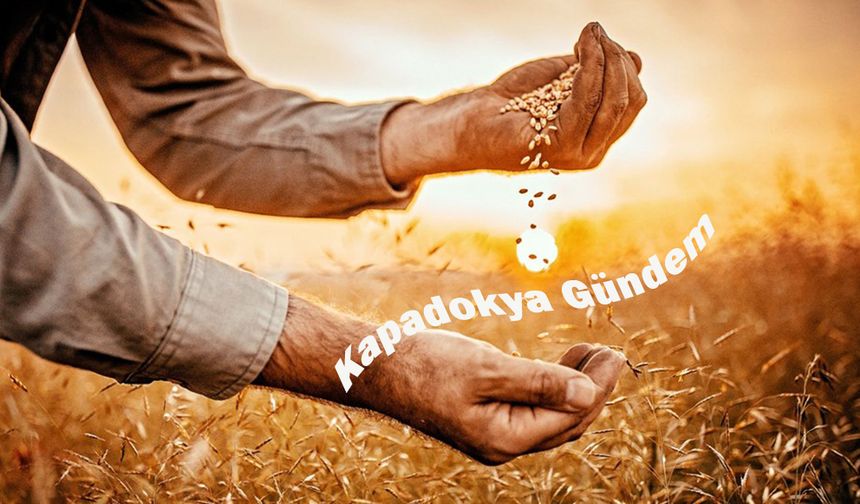 Hububat piyasasında fiyatlar geriledi