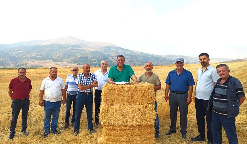 Gürer: “Buğday ve arpa alım fiyatı çiftçinin yüzünü güldürmedi”