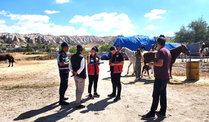 Kapadokya Alan Başkanlığı Kaçak At Çiftliklerine Göz Açtırmıyor