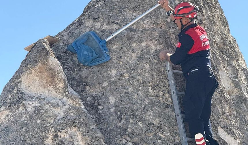 Ürgüp İtfaiyesi, Peribacasına Çıkan Kediyi Kurtardı