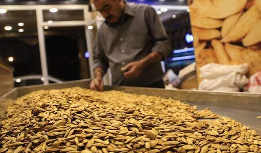 Nevşehir Kabak Çekirdeği Rekor Kırdı: 1,3 Milyar Liralık Katkı!