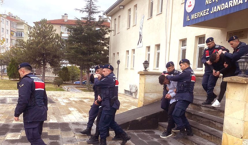 115 Bin TL Değerindeki Kabak Çekirdeği Hırsızlığına Jandarma Müdahalesi