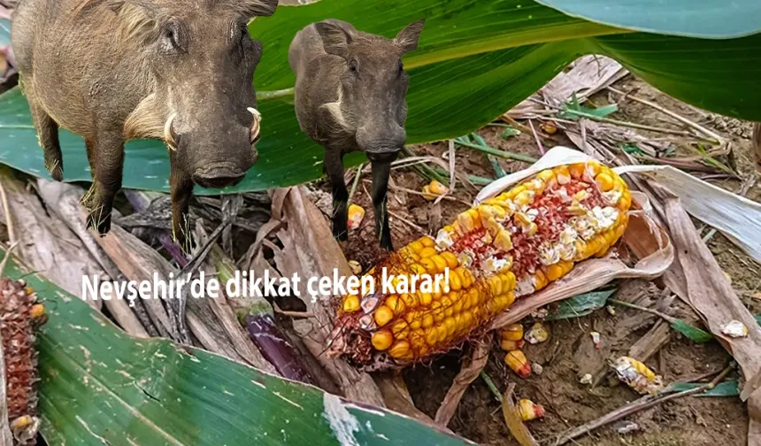 Nevşehir’de dikkat çeken karar!