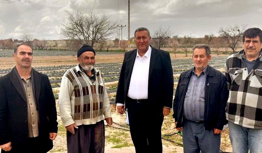 “Çiftçi Çöküyor: Borç, Don ve Maliyet Kıskacında Üretim Bitiyor”