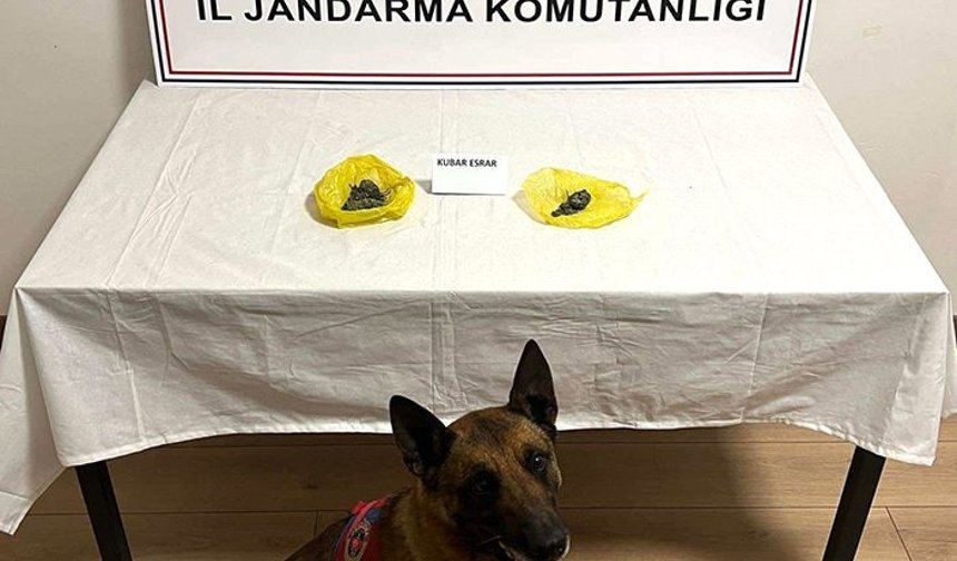 Nevşehir’de jandarma ekiplerinin yol kontrolünde uyuşturucu madde ele geçirildi.