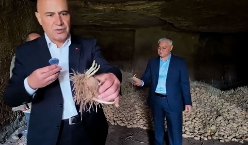 NEVŞEHİR’DE PATATES FACİASI: ÇİFTÇİ EMEĞİNİ ÇÖPE DÖKÜYOR!