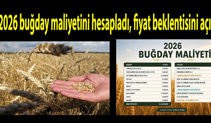 Çiftçi 2026 buğday maliyetini hesapladı, fiyat beklentisini açıkladı