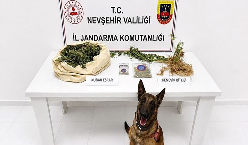 Nevşehir’de uyuşturucu operasyonu: Kenevir ve 1 kilo 938 gram esrar ele geçirildi.
