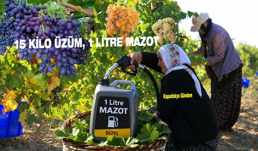 15 KİLO ÜZÜM, 1 LİTRE MAZOT