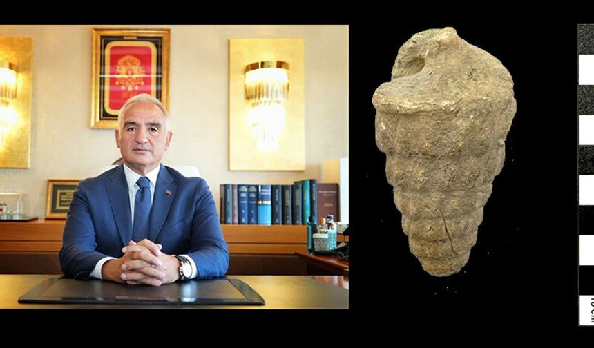 Külhöyük’te Tetis Denizi’nin 66 yıllık fosili bulundu.