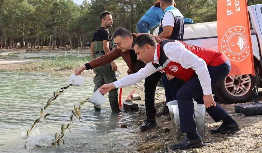 Beş Su Kaynağımıza 725 Bin Yavru Sazan Bırakıldı.