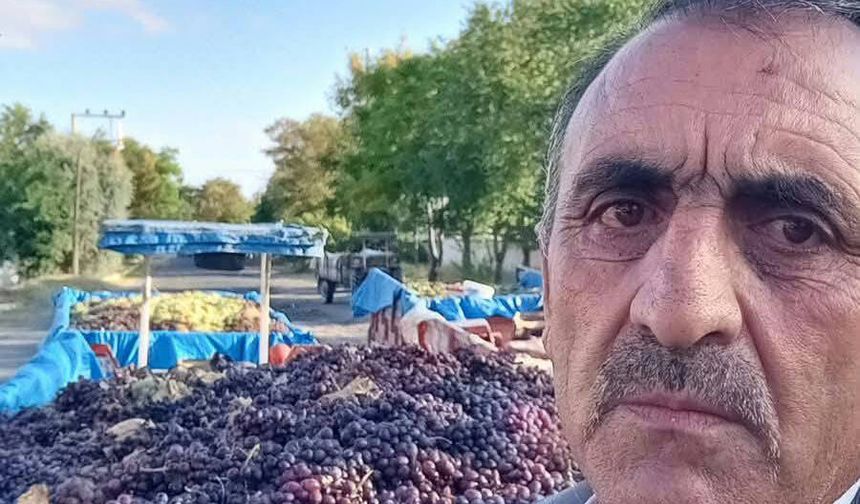 Gülşehir’de Üzüm Üreticilerinin Alım Sorunu Gündemde.