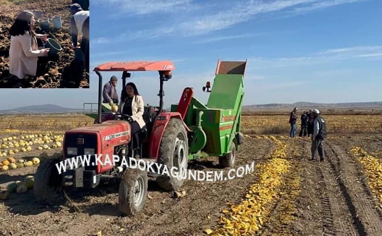 Yok böyle Kaymakam! Babacan kaymakamın 10 parmağında 10 marifet...
