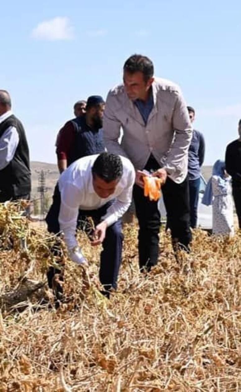 Fasulye üretiminde Nevşehir Türkiye 2. oldu