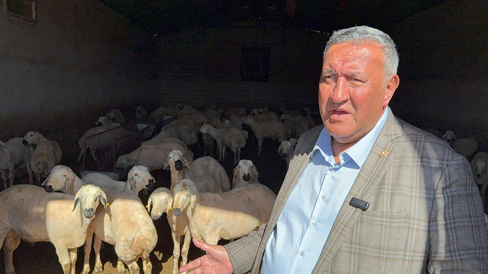 Fotoğraf (2)-25