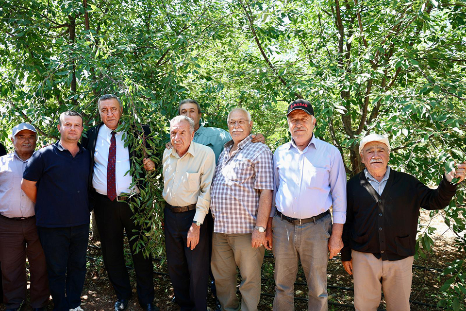 Fotoğraf (1)-29