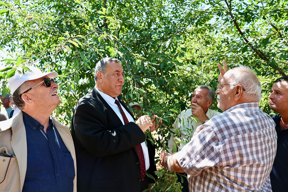 Fotoğraf (2)-36