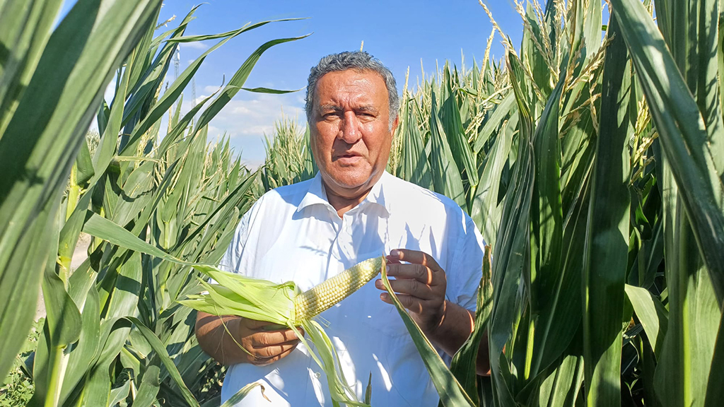 Fotoğraf (1)-40
