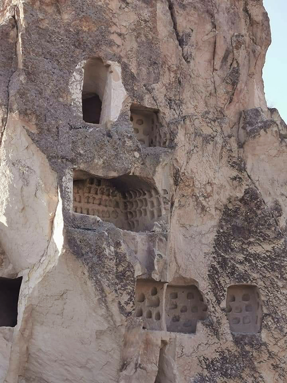 131029123 3523031431106944 1403553068383932760 N