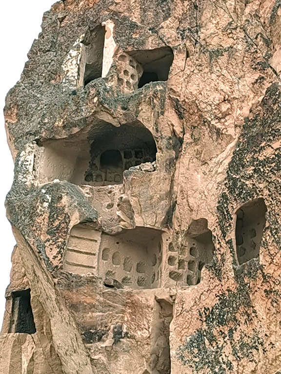 131263204 3523029547773799 6906957370527780418 N