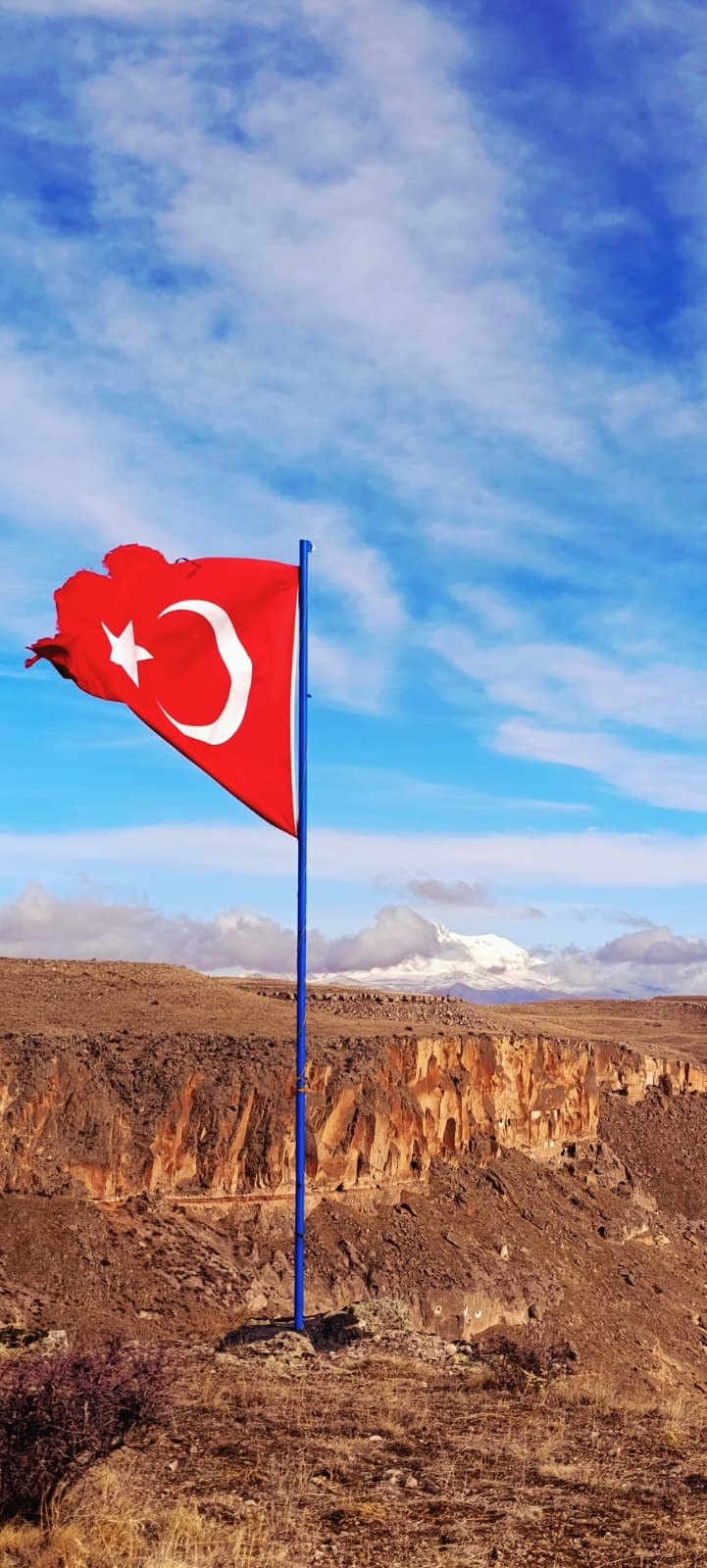 60D20Bcc 2991 49Ef Bcb7 02845325497F