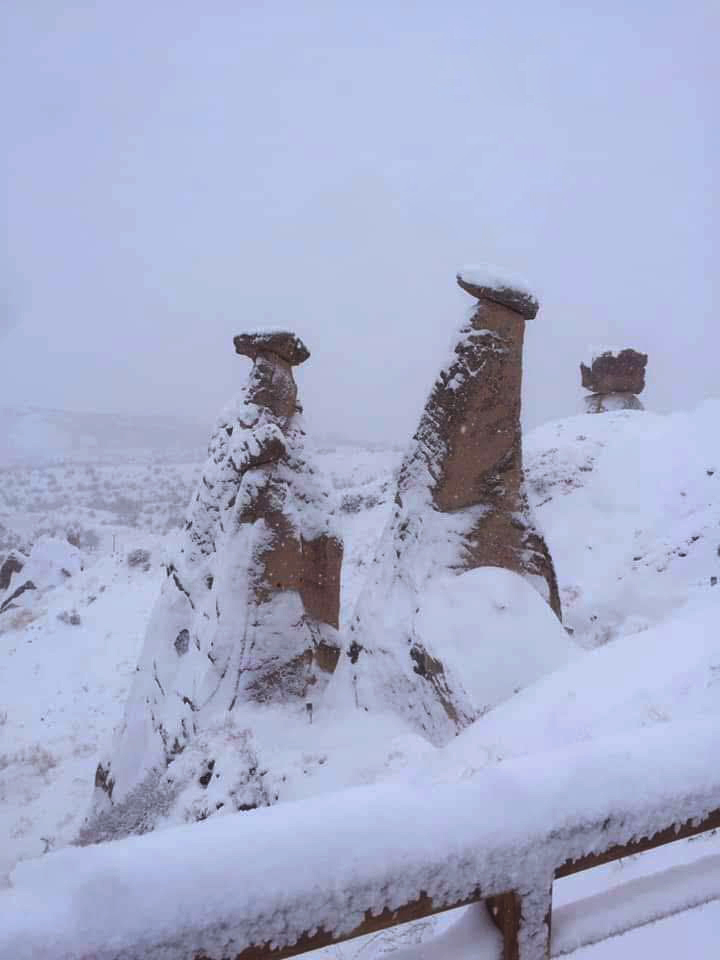 C5B35F13 F485 48D3 8E03 8Ea5C7Bf5A53