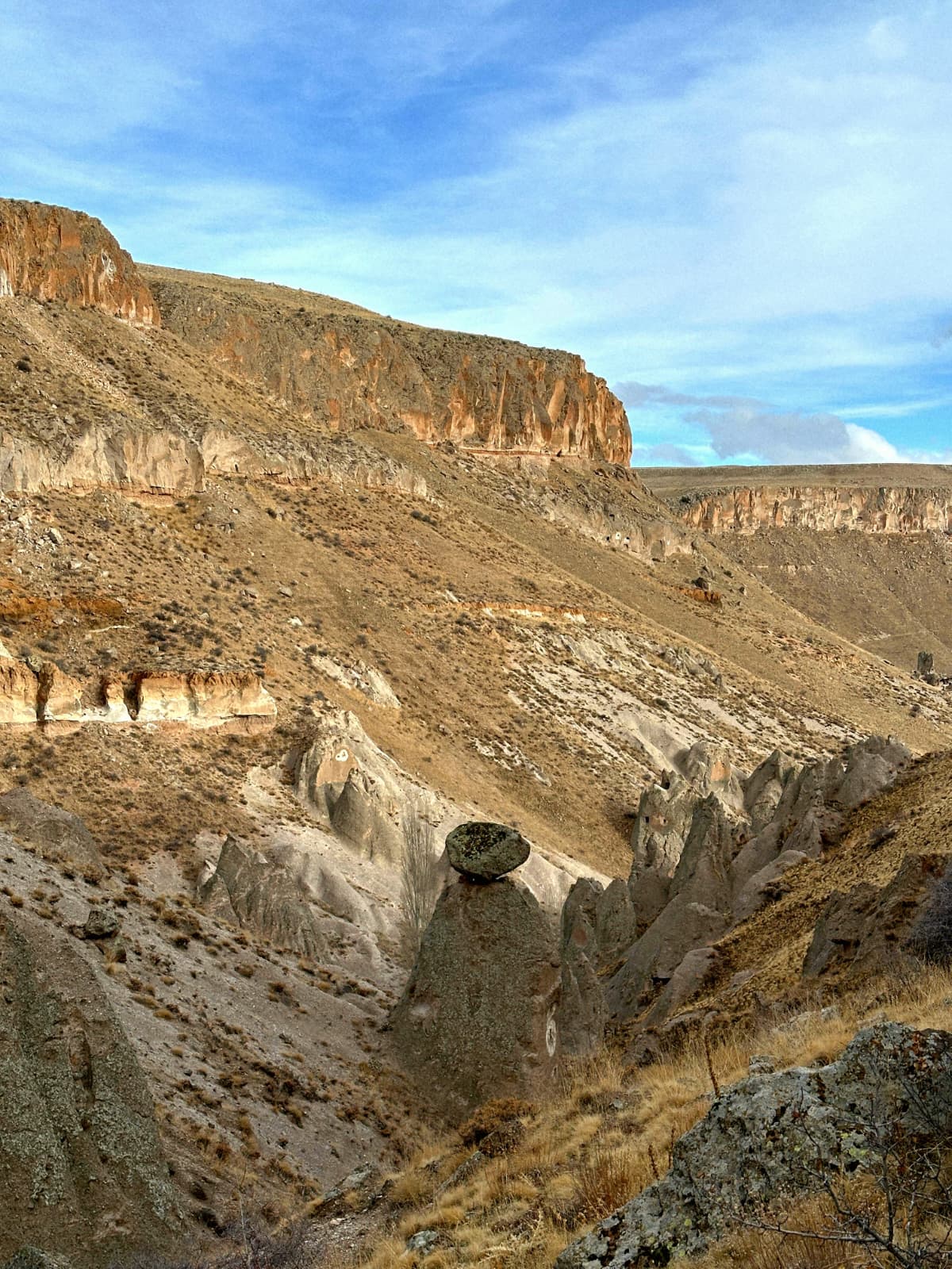 Fcdd97B6 C35D 46B2 9660 6Db470364044