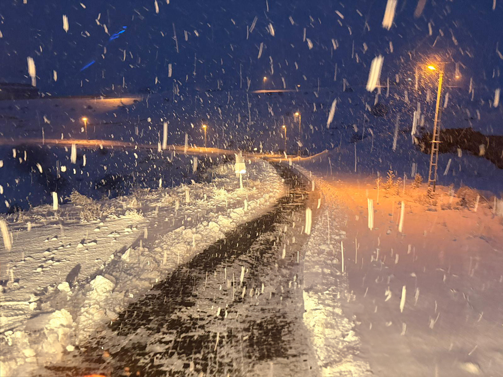 608151287 25293555523600516 388039999466014059 N Copy2