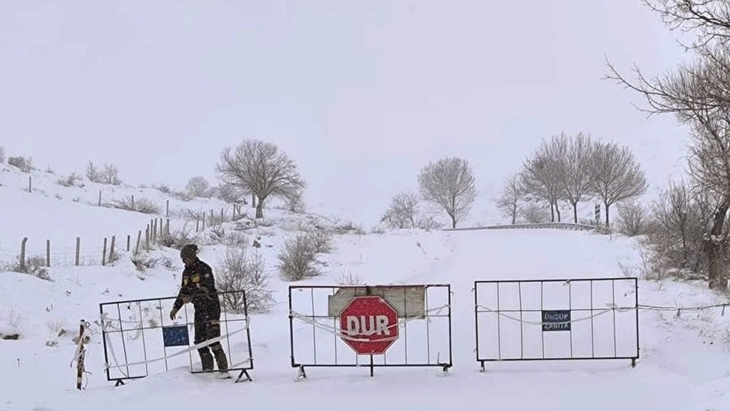 618544451 18343190701227108 1199428264974752318 N