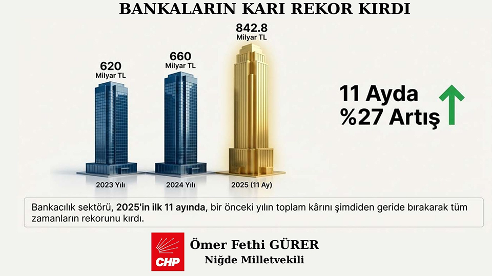 E.yurttaş Infografik (2)