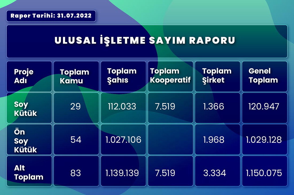 2022 İşletme Sayisi