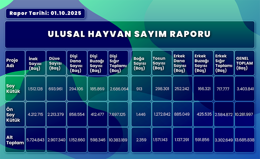 2025 Hayvan Sayisi