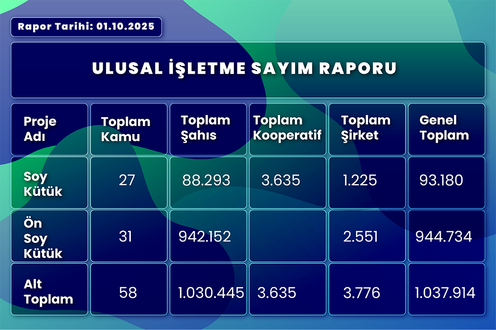 2025 İşletme Sayisi