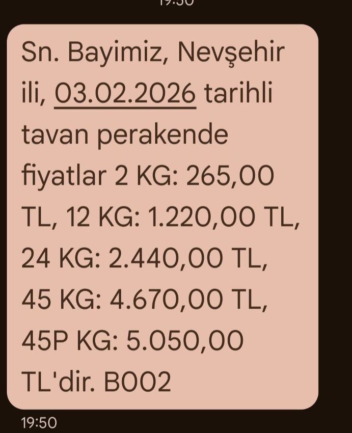 625334482 892422110343791 4747774080884270303 N