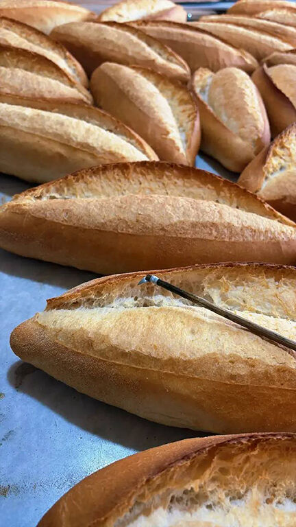 651202903 4036951573263032 6517811745844462789 N