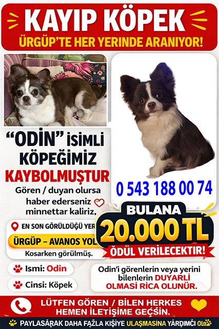 12A49386 B975 4Bab A76D 9D25Df66Db1F Copy 3-1