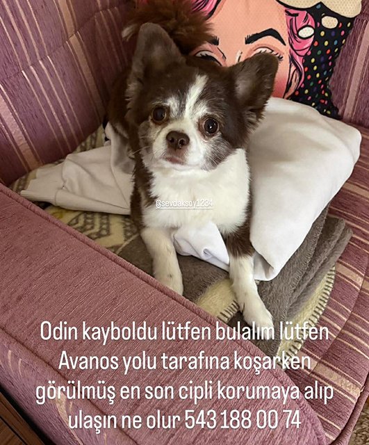 669004362 1270348998024048 7131204155076420275 N