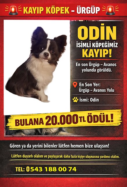 671045990 10164246919933777 7253958710221992545 N Copy 3-2