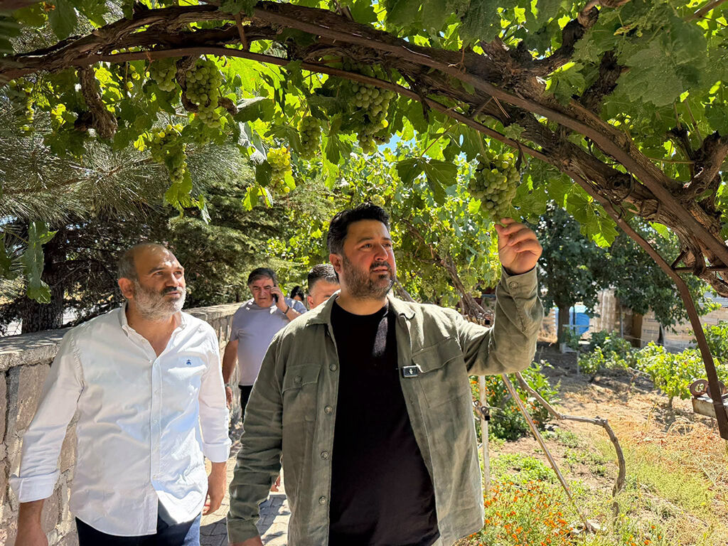 Nevşehir’de üzüm üreticisinin gözü fiyatta: Çalışkan sahaya indi.